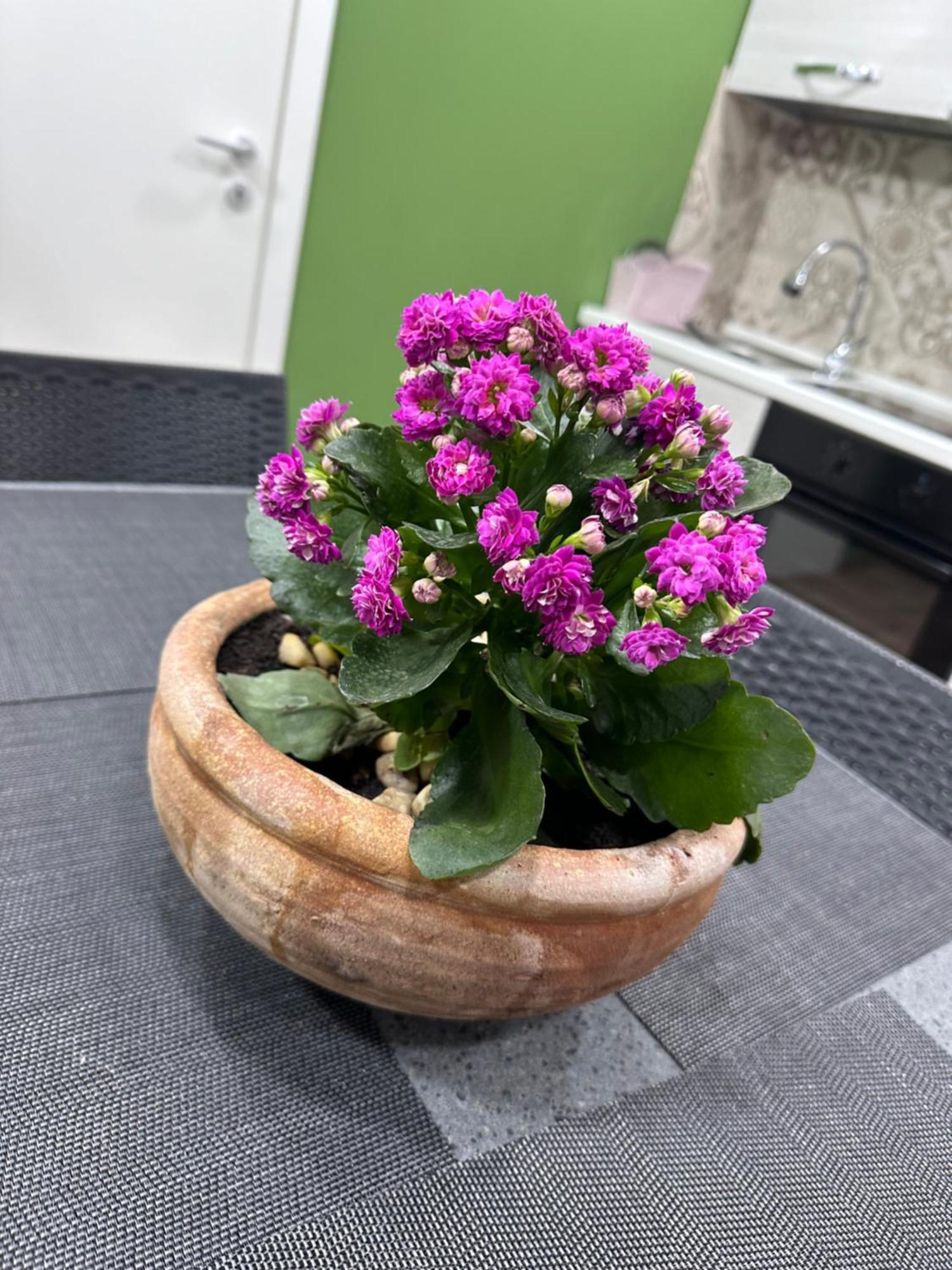 Sweet Home Catania Ngoại thất bức ảnh